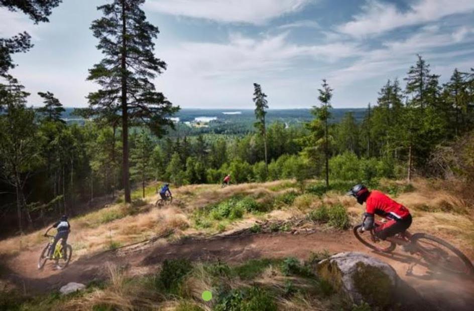 Big House, Sauna, Wi-Fi, Isaberg, Mtb, Skiing, Golf Gnosjo Eksteriør billede