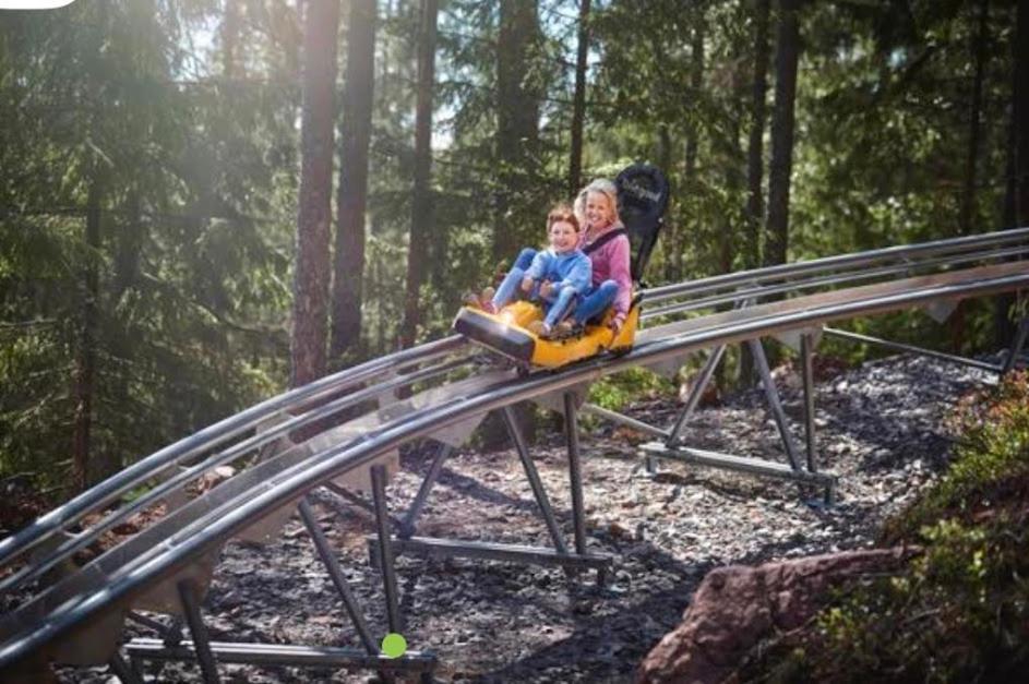 Big House, Sauna, Wi-Fi, Isaberg, Mtb, Skiing, Golf Gnosjo Eksteriør billede