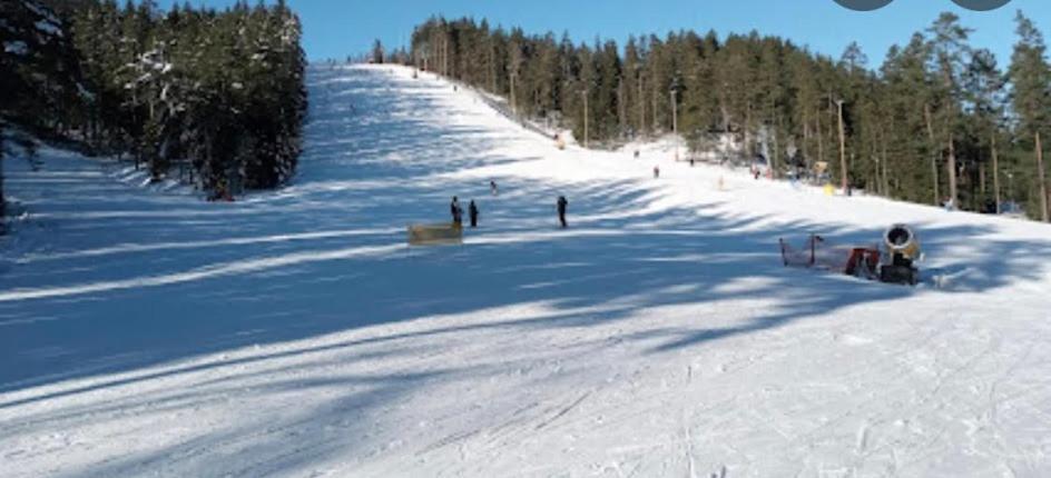 Big House, Sauna, Wi-Fi, Isaberg, Mtb, Skiing, Golf Gnosjo Eksteriør billede